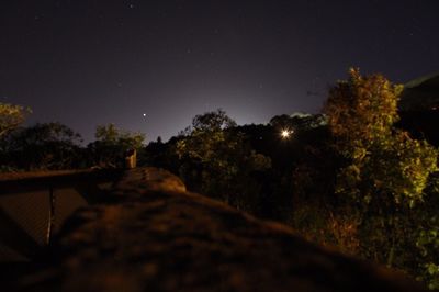 Trees against sky at night