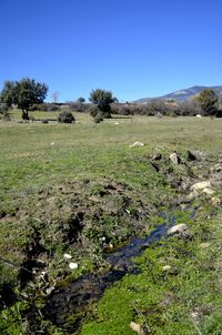 Scenic view of land against clear sky
