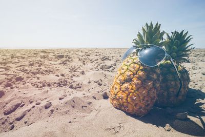 Close-up of sunglasses in pineapples on sand at beach