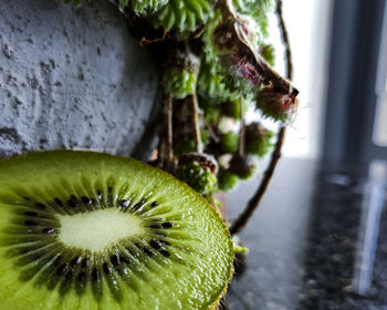 Close-up of fruits on table