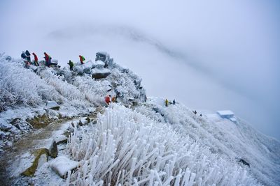 Scenic view of snow