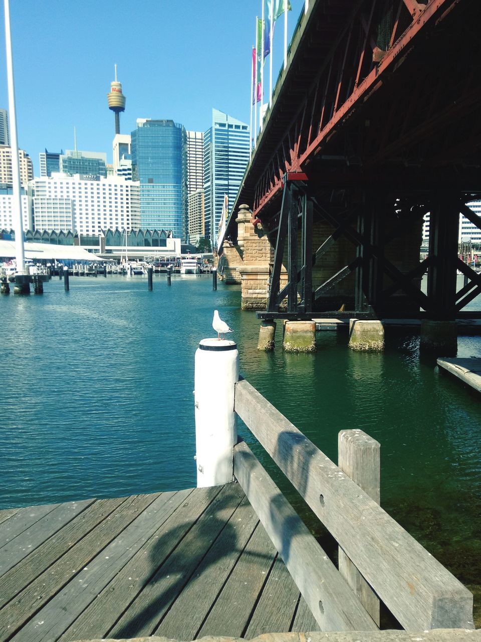 built structure, architecture, pier, water, building exterior, no people, outdoors, day, nature, city