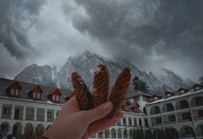 Person holding pine cones against sky during winter