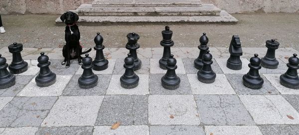 High angle view of chess pieces on cobblestone street