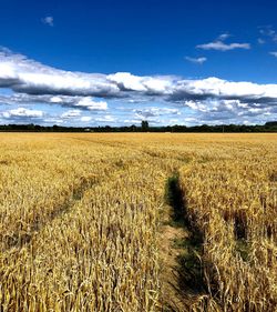 Scenic view of field against cloudy sky