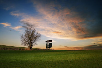 Scenic view of field against sky during sunset