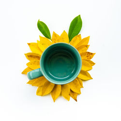 Directly above shot of yellow flower against white background