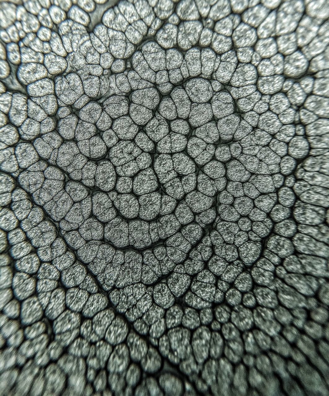 FULL FRAME SHOT OF PATTERN