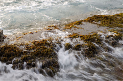 Scenic view of sea waves