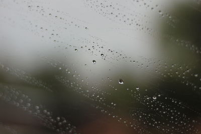 Close-up of raindrops on glass window