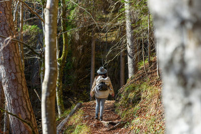 Rear view of girl wearing backpack, hiking in forest in autumn