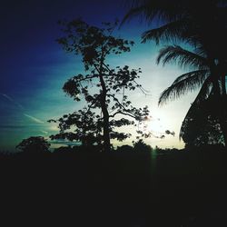 Low angle view of silhouette trees against sky at sunset