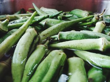 Close-up of green chili peppers