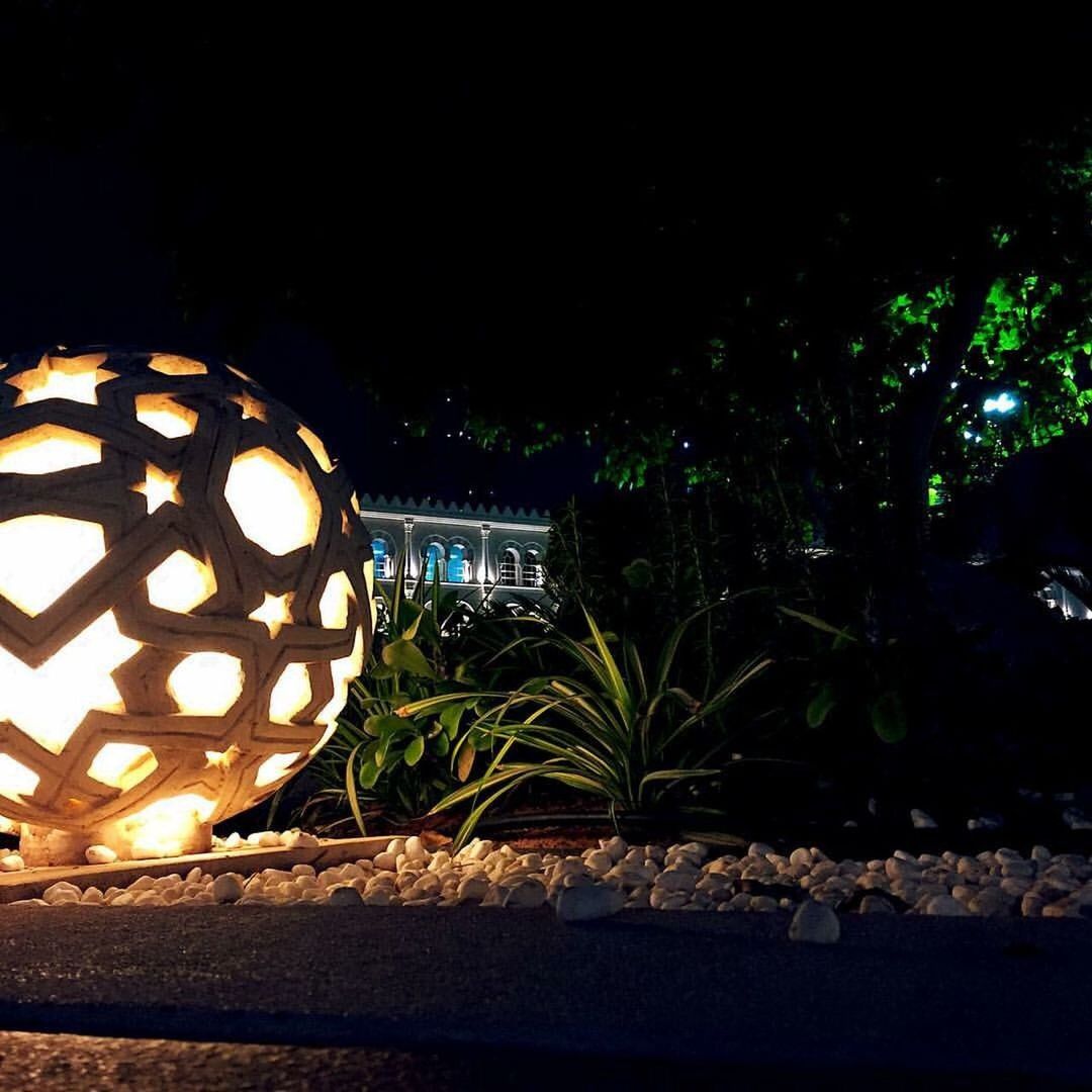 illuminated, night, lighting equipment, no people, outdoors, close-up, built structure, light bulb, lantern, nature, architecture, tree