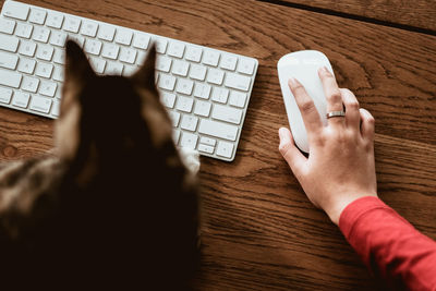 Cropped hand of woman using computer mouse with cat on table