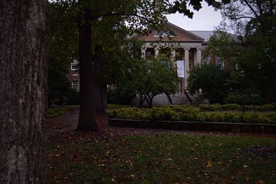 Trees in front of house