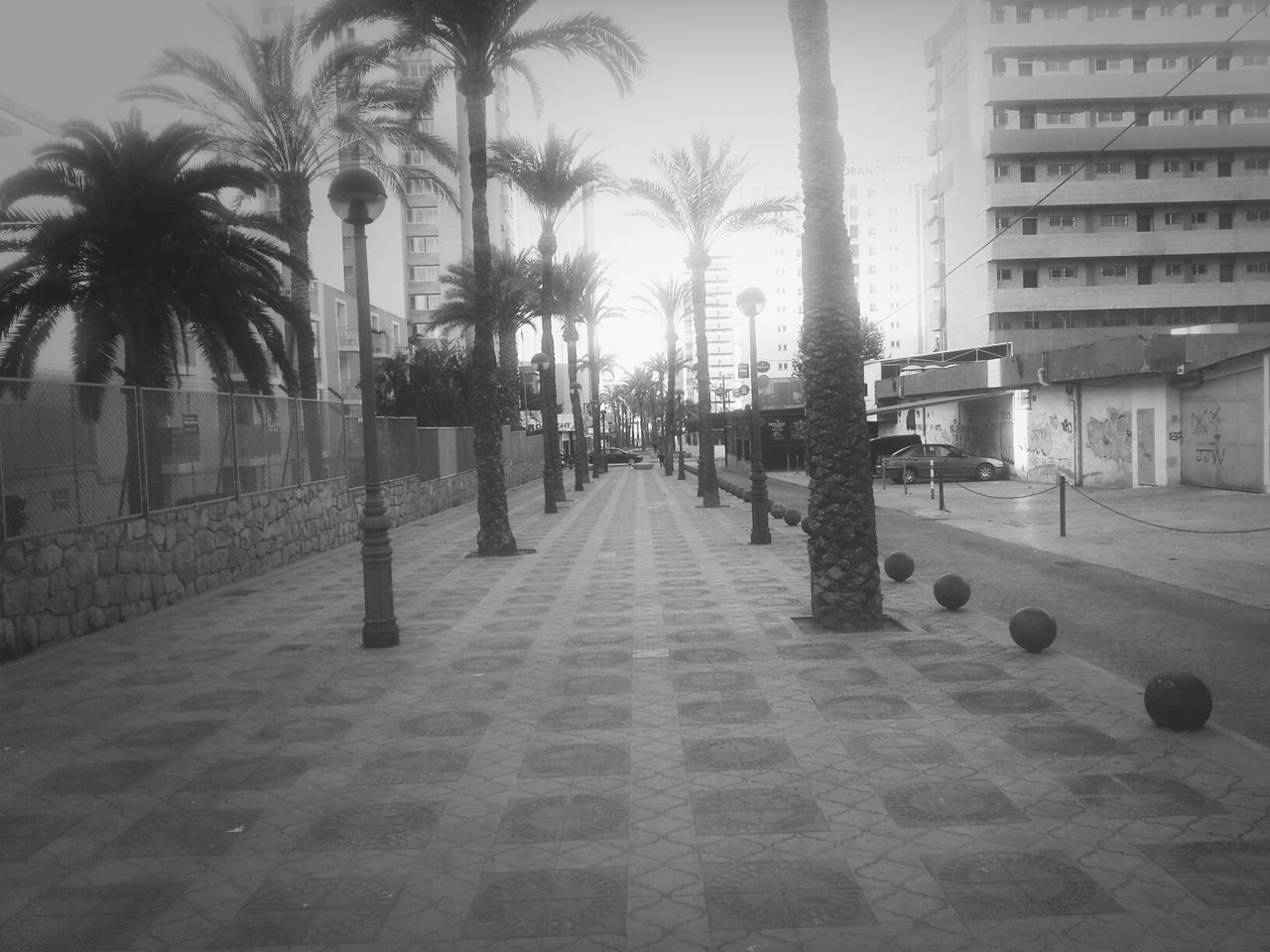 the way forward, building exterior, architecture, built structure, tree, palm tree, street, diminishing perspective, city, footpath, in a row, incidental people, shadow, road, day, vanishing point, sunlight, outdoors, tree trunk, treelined