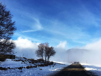 Snow covered trees against blue sky