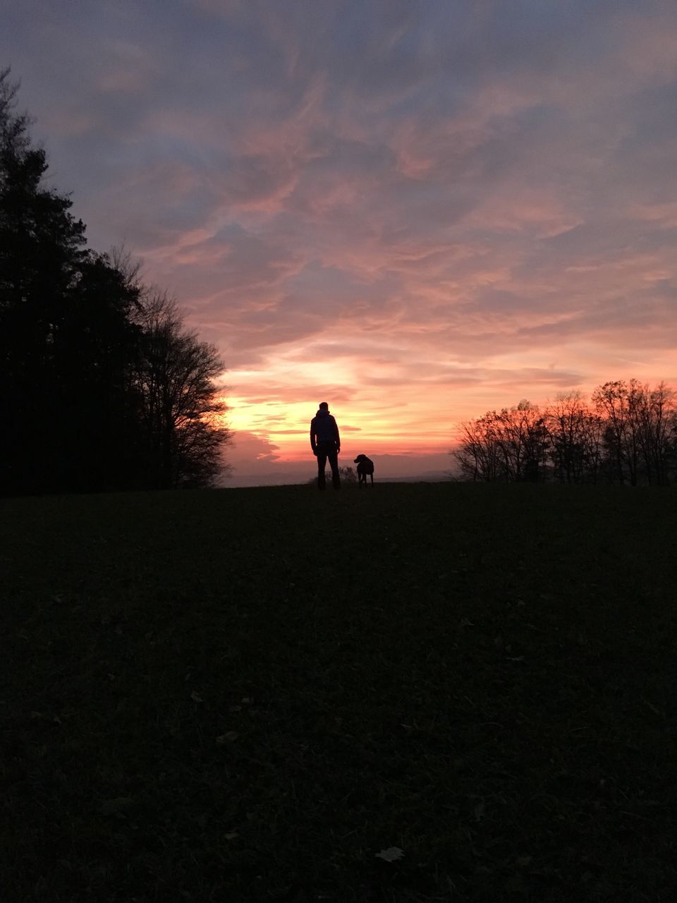 sunset, silhouette, one animal, sky, animal themes, horse, tree, riding, cloud - sky, working animal, beauty in nature, domestic animals, nature, outdoors, people, friendship, mammal, one person, adult, only men