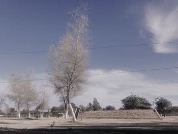 Bare trees on field against sky