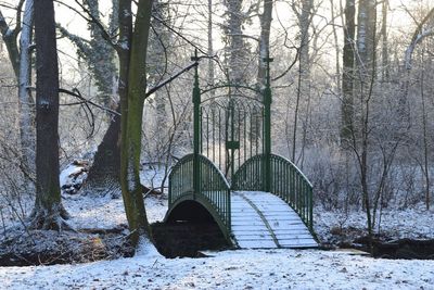 Bridge in forest during winter
