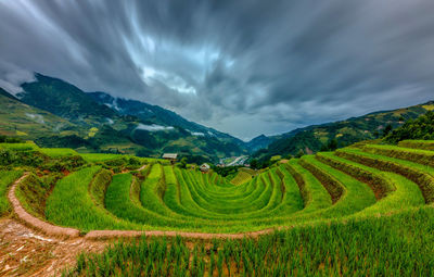 Scenic view of agricultural field against sky