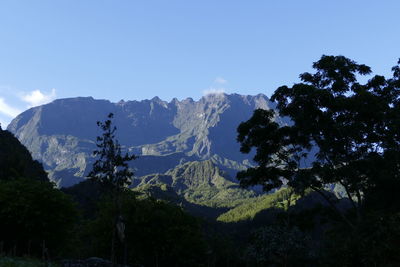 Scenic view of forest against clear blue sky