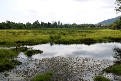 Scenic view of lake against sky