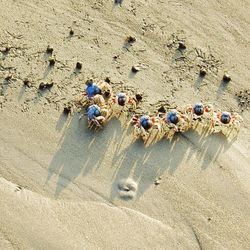 High angle view of crab on sand