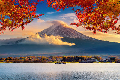 Scenic view of tree by mountain against sky during autumn