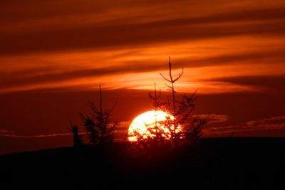 Silhouette of trees against dramatic sky