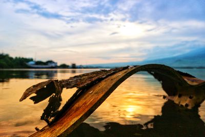 Close-up of driftwood by lake against sky during sunset
