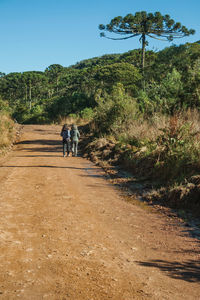 Rear view of girls walking on road amidst trees against clear blue sky