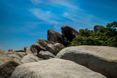 Rear view of cat on rock against sky