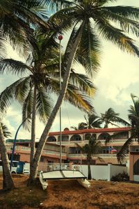 Palm trees against cloudy sky