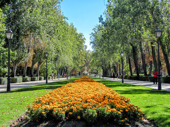 View of footpath in park