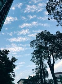 Low angle view of trees against sky