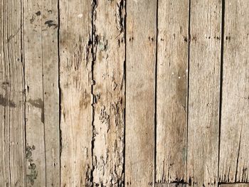 Macro shot of weathered wood