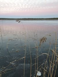 Scenic view of lake against sky during sunset