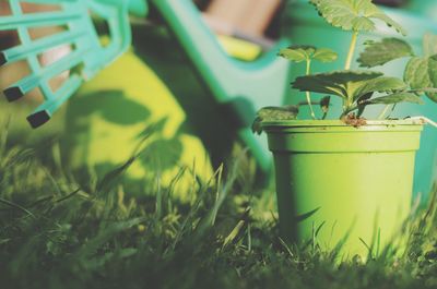 Close-up of potted plant on field