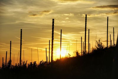 Silhouette trees against sky during sunset