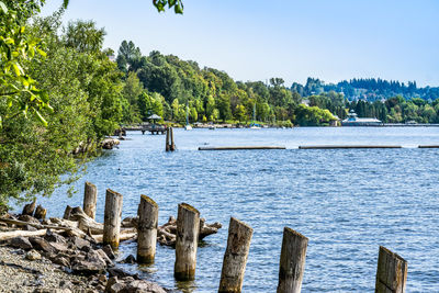 A view of the shoreline of coulon park in renton, washington.