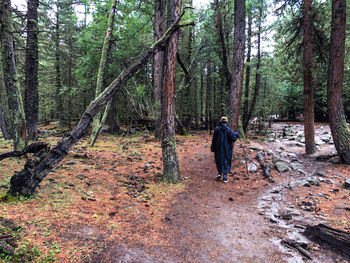 Rear view of young woman walking in forest