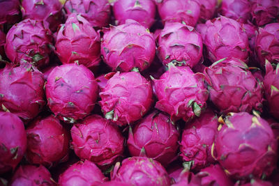 Full frame shot of pink flowers