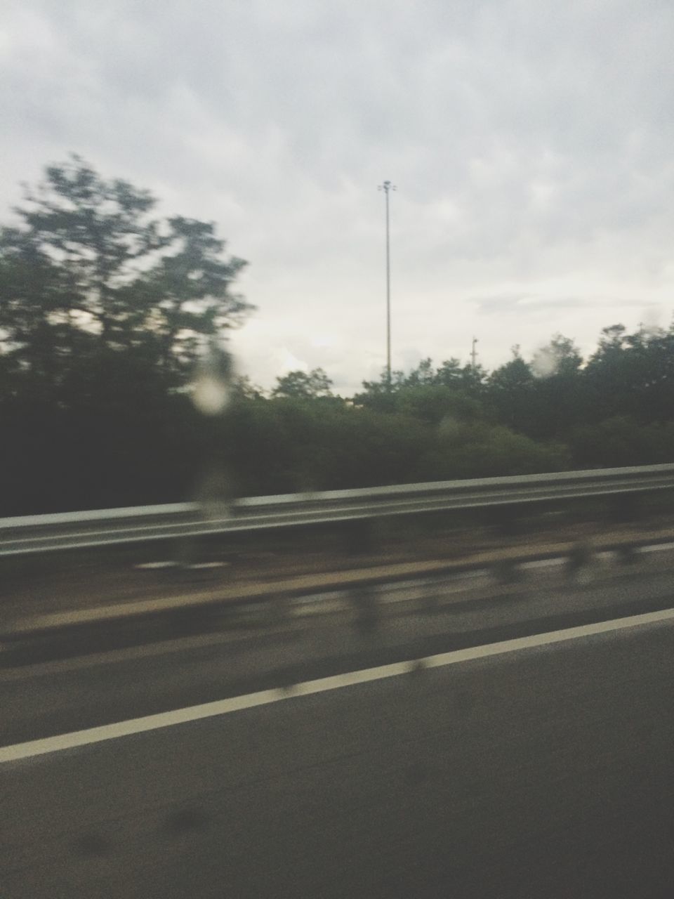 tree, road, sky, the way forward, cloud - sky, nature, outdoors, no people, tranquility, day, country road, growth, tranquil scene, diminishing perspective, cloud, empty, cloudy, vanishing point, landscape, scenics, beauty in nature