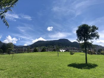 Scenic view of field against sky