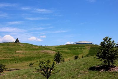 Scenic view of green field against blue sky