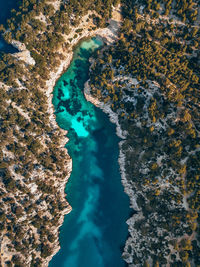 Aerial view of beach