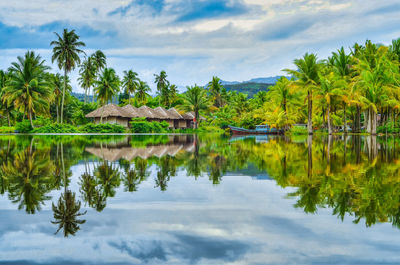 Scenic view of lake and palm trees against sky