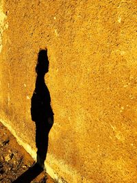 Shadow of man on yellow wall